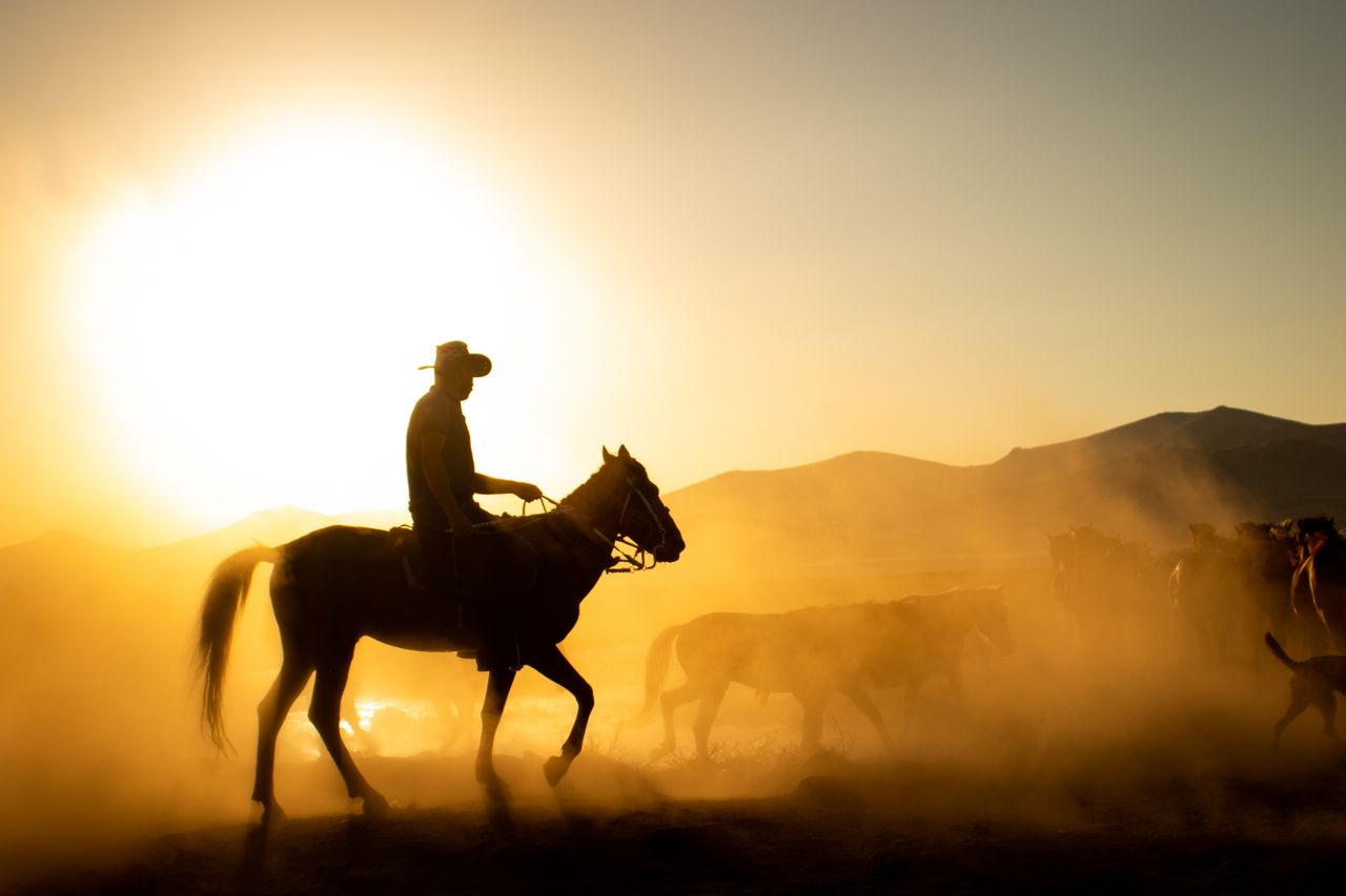 gallery-03 Silhouette of a cowboy riding through dust with a herd at sunset in Hürmetci, Kayseri.