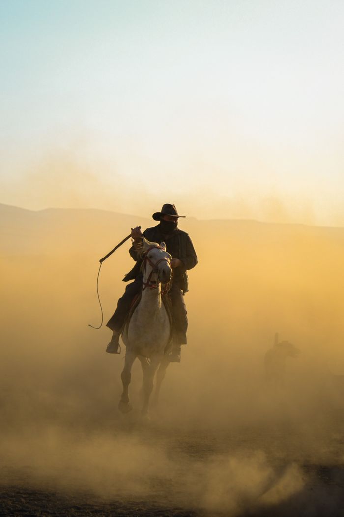 gallery-3 A lone cowboy on horseback navigates a dusty prairie landscape, evoking a sense of adventure.