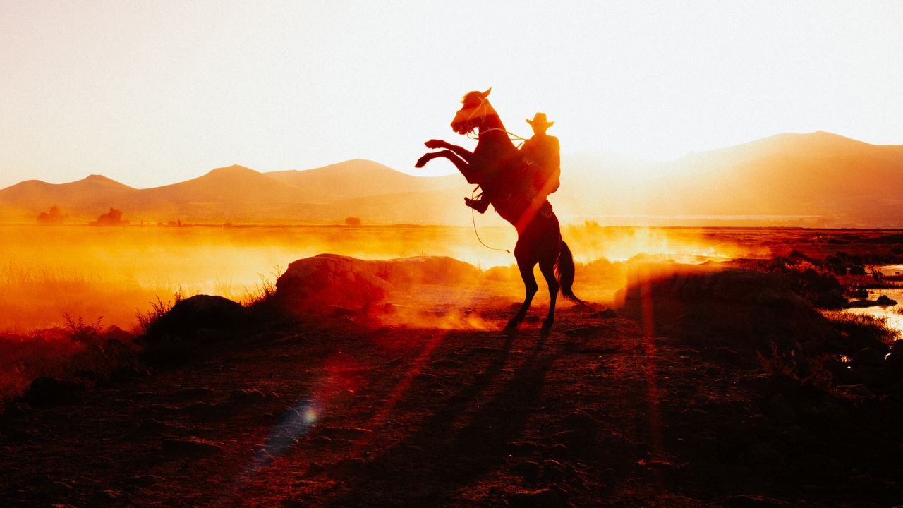 our-story A cowboy on a rearing horse against a stunning sunset in rural Kayseri, Türkiye.